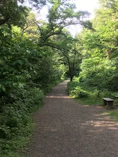 国立科学博物館附属自然教育園園内