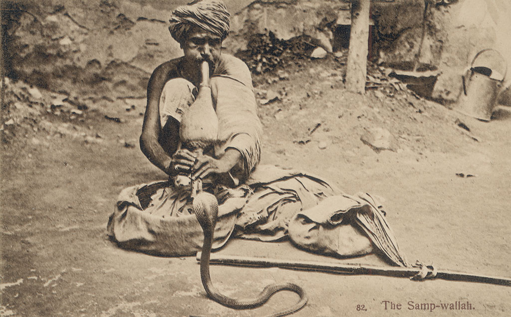 Snake Charmer in Costume and Playing to Cobra