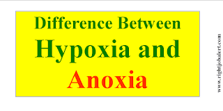 Difference Between Hypoxia and Anoxia