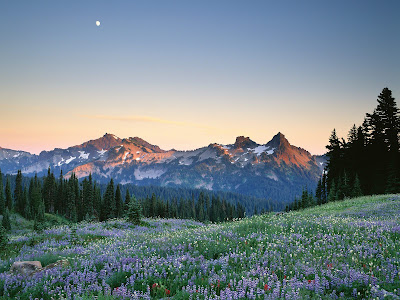 Mount Rainier Wallpaper 2