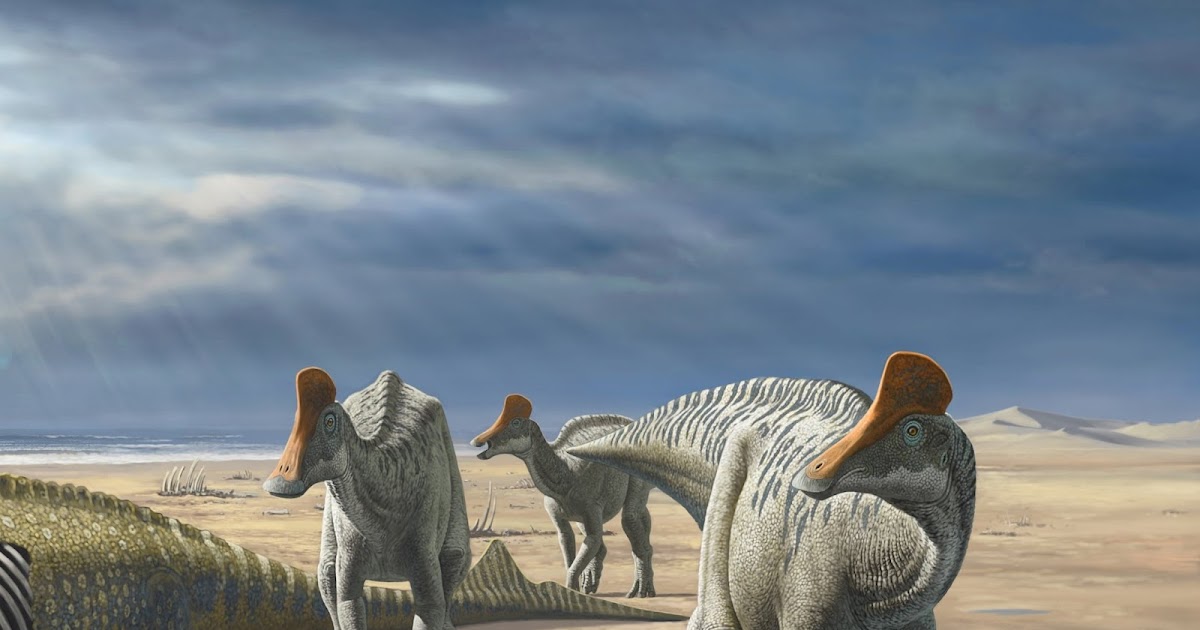 Species New to Science [Paleontology • 2024] Minqaria bata • A New
