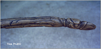 Detail of Raven Head Wand, by Tree Pruitt