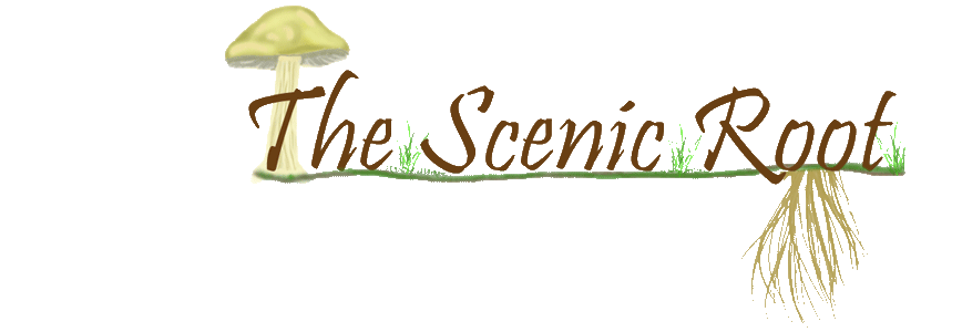 The Scenic Root