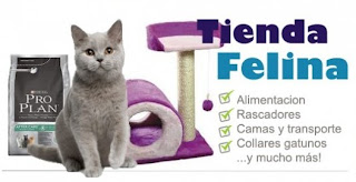 tienda para gatos