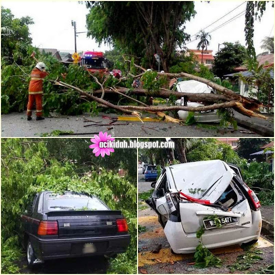 Pokok Tumbang, Bumbung Tercabut, Kereta Rosak Di Cheras.