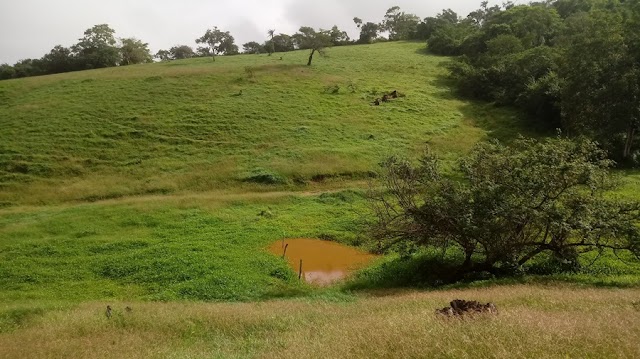 AS NASCENTE DO RIACHO DAS POMBAS NA ZONA RURAL DE BOM CONSELHO