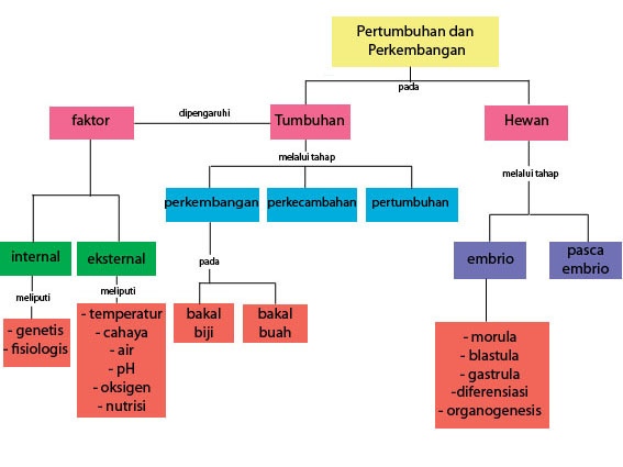 BIONICLE: Pertumbuhan dan Perkembangan