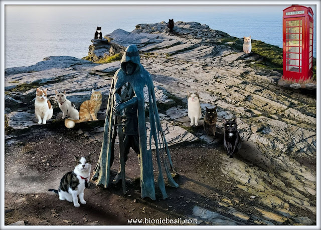 The B Team's King Arthur Selfie at Tintagel ©BionicBasil® Sunday Selfies Blog Hop