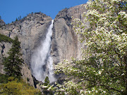 . to the most tortuously boring place I could think of: Yosemite Valley. (dsc upper yosemite falls and dogwood)