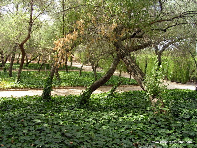 jardines del palacio de Guadalajara España