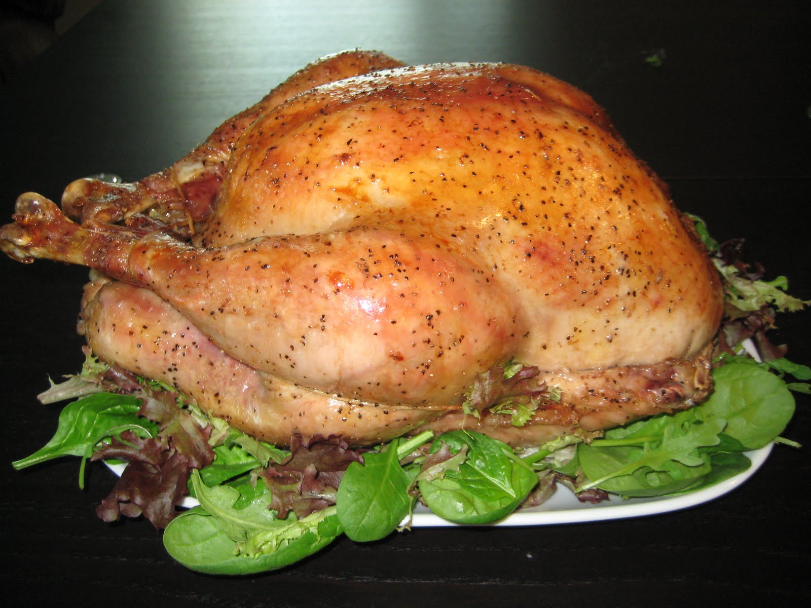 The Self Trained Chef: HOW TO COOK A TURKEY for Thanksgiving