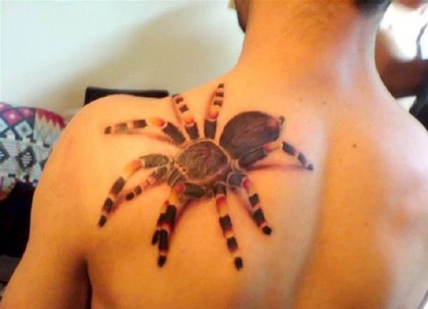 Spider tattoos are also