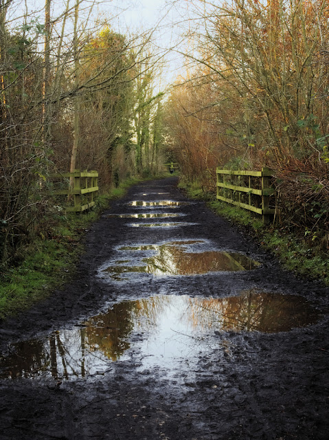 Waterlogged path 