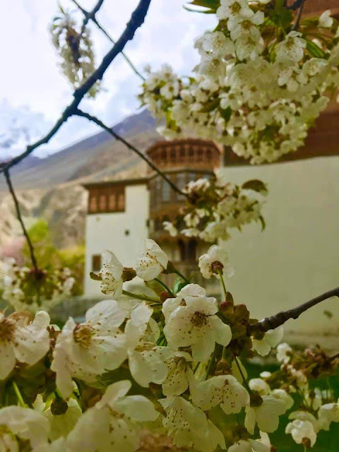 Serena Hotel - What to Do in the Khaplu Valley in Gilgit-Baltistan
