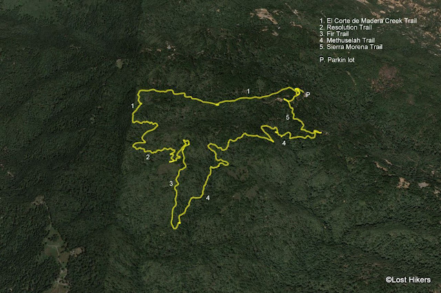 Map of route walked in El Corte de Madera Creek Open Space: First round