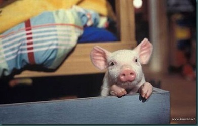 animals_177_02Fofo