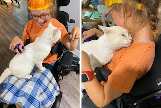 Gato salta al regazo de una niña en silla de ruedas y la elige para ser parte de su familia