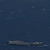 La mejor forma de ver el aterrizaje de SpaceX sobre una barcaza es este vídeo de 360 grados