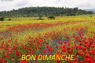 bon dimanche