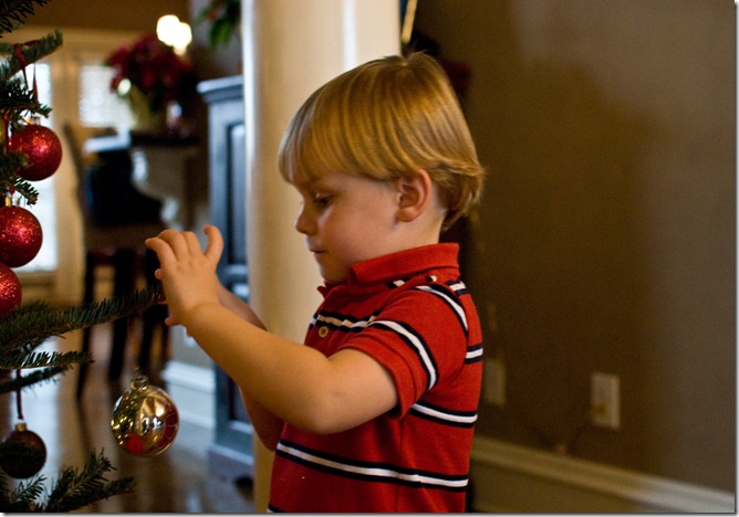 troy decorating tree