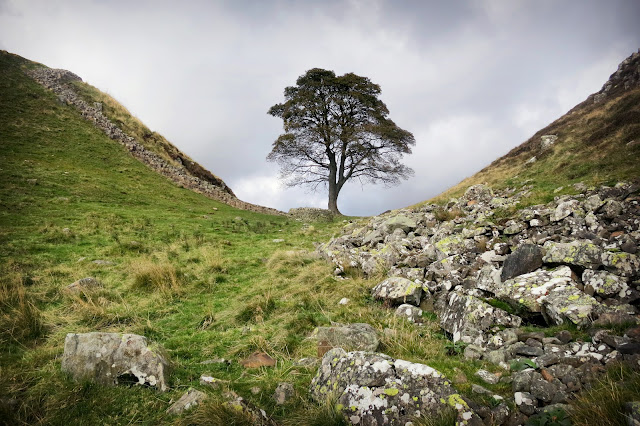 Sycamore gap, One of the best views of hadrian's wall on the best walk