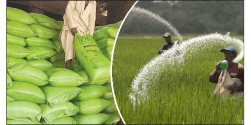 Fertilizer mafia conspiracy at the time of wheat sowing, increase in prices by Rs.2500