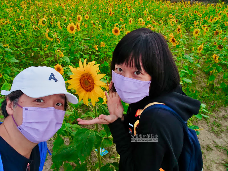 桃園大溪花彩節,花彩節,桃園景點