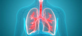 Mesothelioma Copypasta