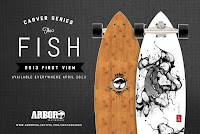 Arbor Fish Skateboard3