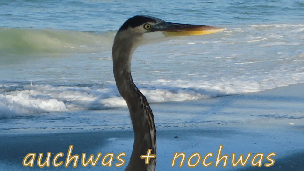 auchwas + nochwas