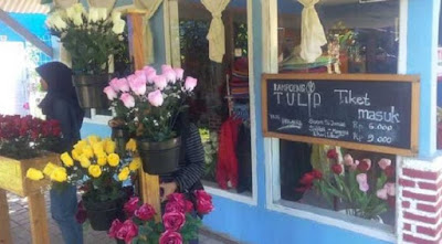Galeri Photo Kampung Tulip Yang Sangat Mempesona Keindahannya