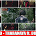 MASTER D - THARANAYA ft. DOTA YUMS