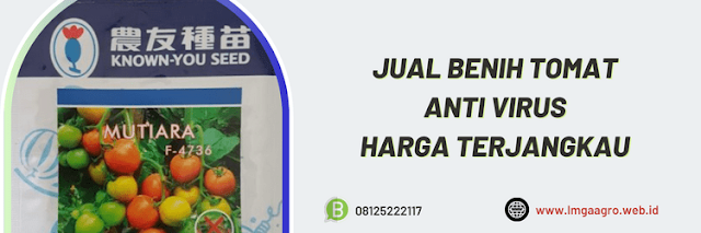 jual,murah,terdekat,toko pertanian terdekat,lmga agro