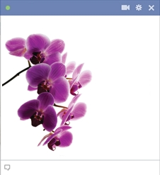 Orchid Flower Emoticon