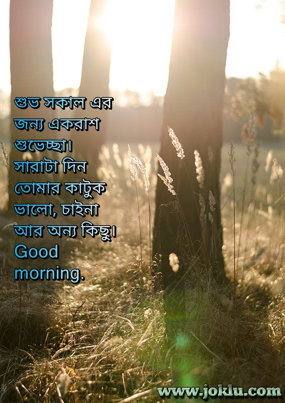 A lot of best wishes good morning message in Bengali