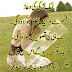 Funny Urdu Shayari