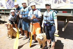 Radicao 10 (333)