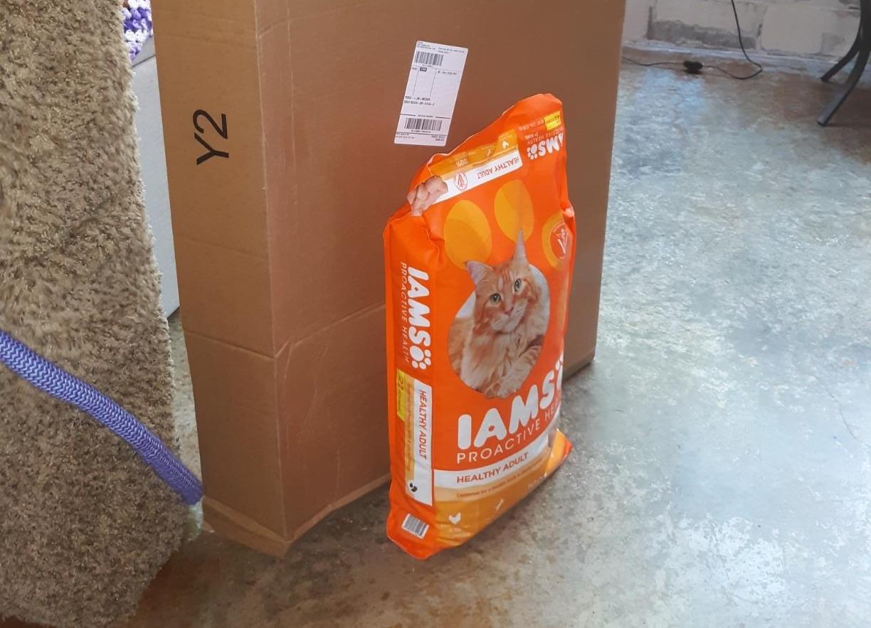 IAMS Proactive Health Cat Food Review: A Comprehensive Guide