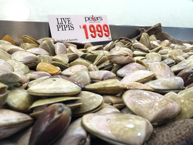 Sydney Fish Market - Live Pipis