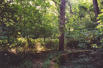 Roller Coaster area, Union Park, Dubuque, IA