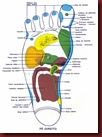 Reflexologia Mapa do Pé Direito