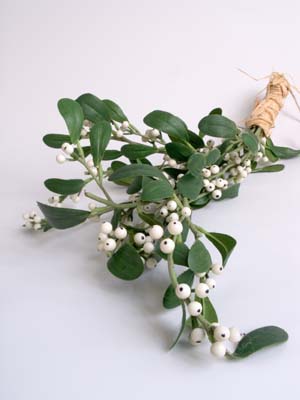 Mistletoe Eliminate Cancer Treatment Effects