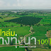 พาชมสวนปาล์มน้ำมันกลางทุ่งนา​ 100​ ไร่​ อ.หนองแซง​ จ.สระบุรี