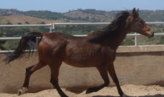Kharma After