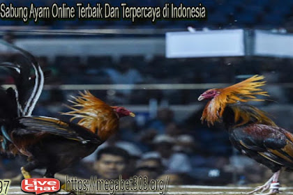 Nonton Sabung Ayam Online