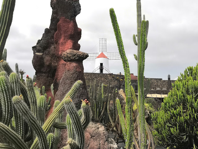 jardín cactus lanzarote canarie manrique