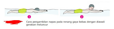 Pengambilan Nafas Renang