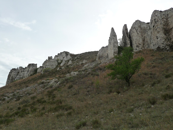 Білокузьминівські скелі. Регіональний ландшафтний парк «Краматорський»