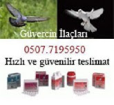 Güvercin göz hastalıkları, salla baş, çiçek, güvercin ishal hastalıkları ile ilgili güvercin vitaminleri, ilaçları, aşıları