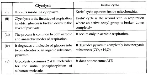 Solutions Class 11 Biology Chapter -14 (Respiration in Plants)